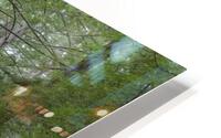 Coastal Forest Trees HD Metal print