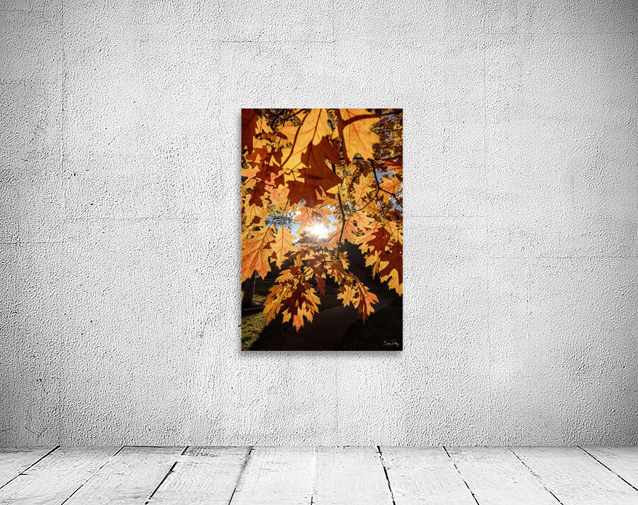 Oak Tree Leaves with Sunlight Wall Preview