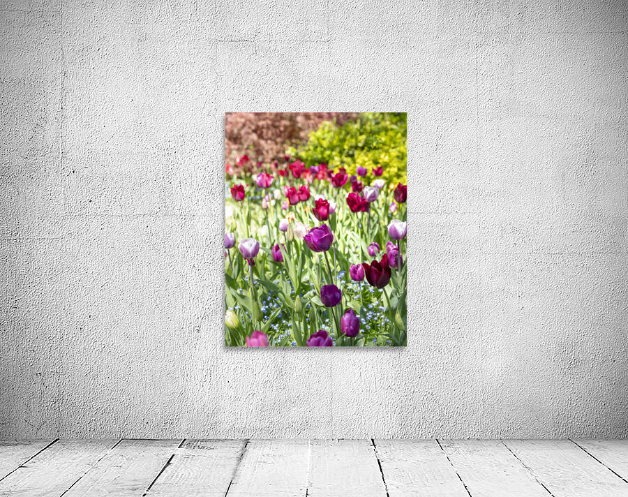 Tulip Impressionism Wall Preview