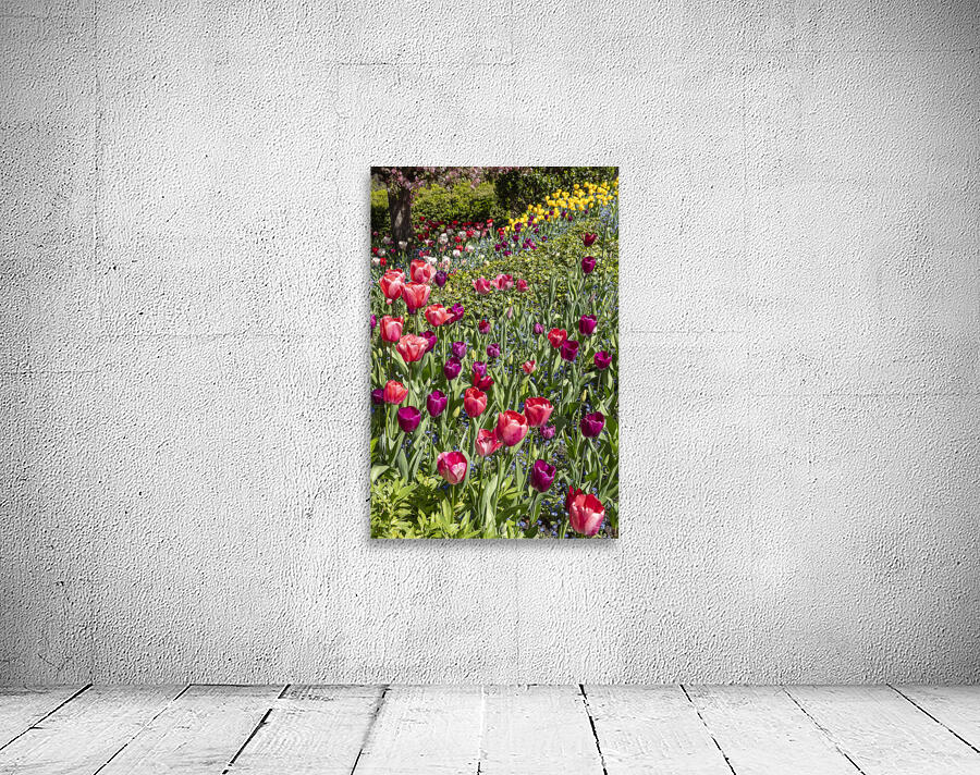 Tulip Hill Wall Preview