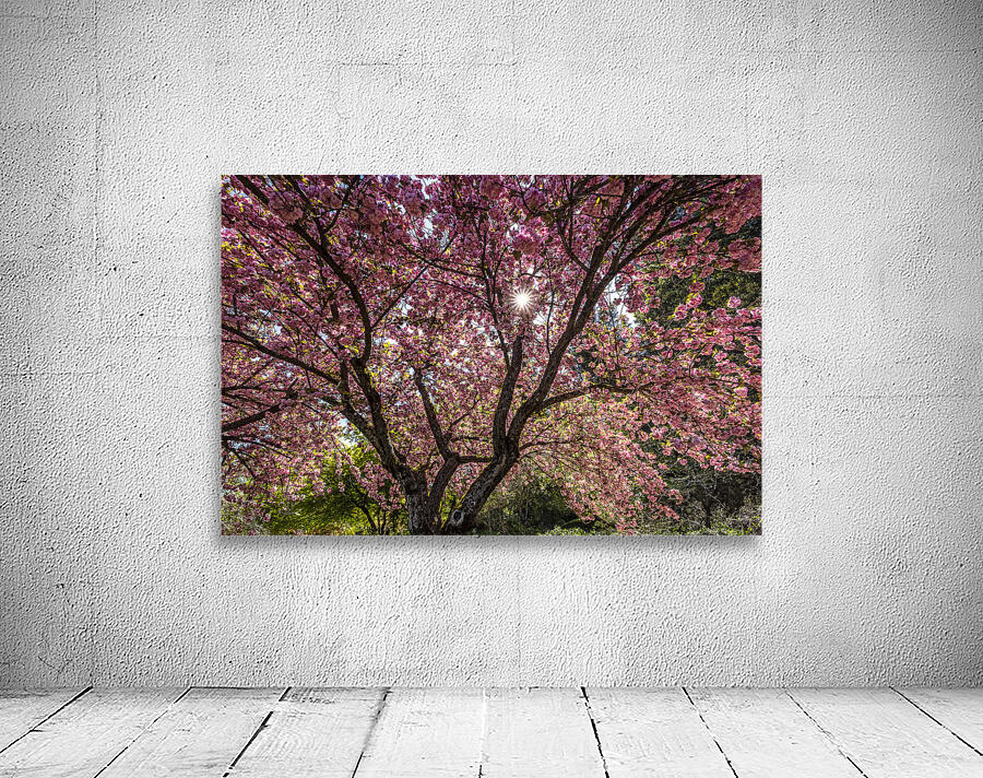 Blossom Tree Wall Preview