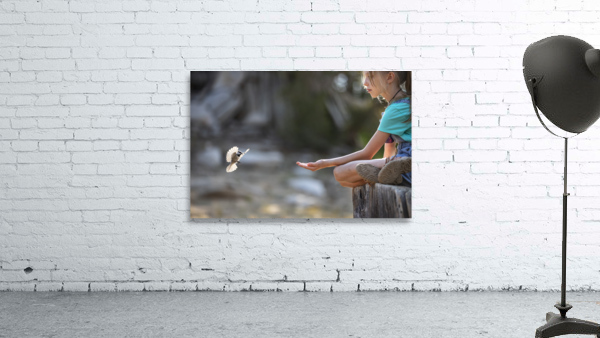 The Sweetest Bird Wall Preview
