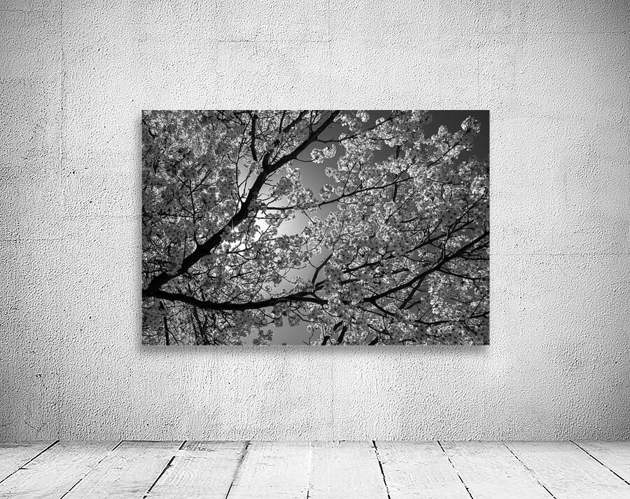 Glowing Blossoms Wall Preview