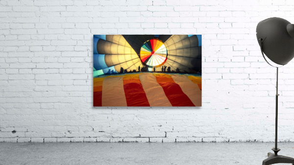 Shadows in a Balloon Wall Preview