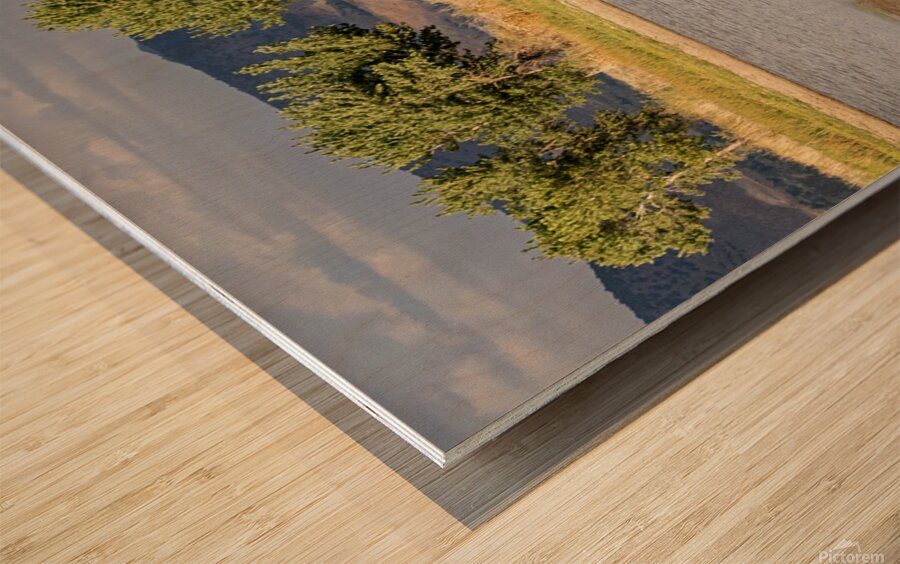 Wild Horse Reaching For Water Wood print