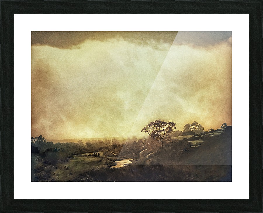 Morning Dew Picture Frame print