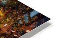 Untitled Abstract  HD Metal print