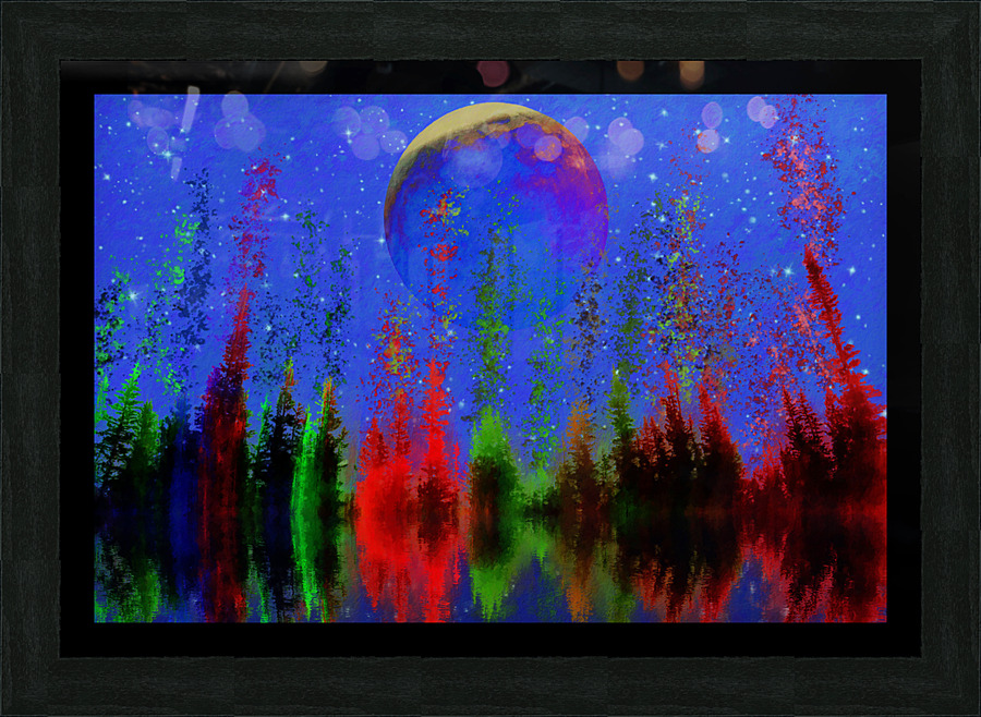 FIRR MOON Picture Frame print
