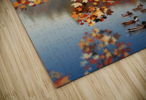 TREE COLOR kashif ahmad puzzle