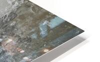 004 tex HD Metal print
