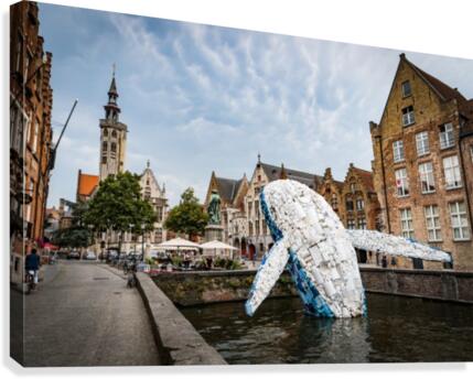 Skyscraper - The Bruges Whale Canvas Print