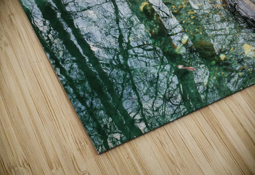 Jeux deau Carlo Ravedoni puzzle