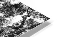 Twisted HD Metal print