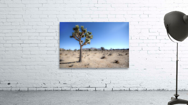 Alone Amongst Many Wall Preview