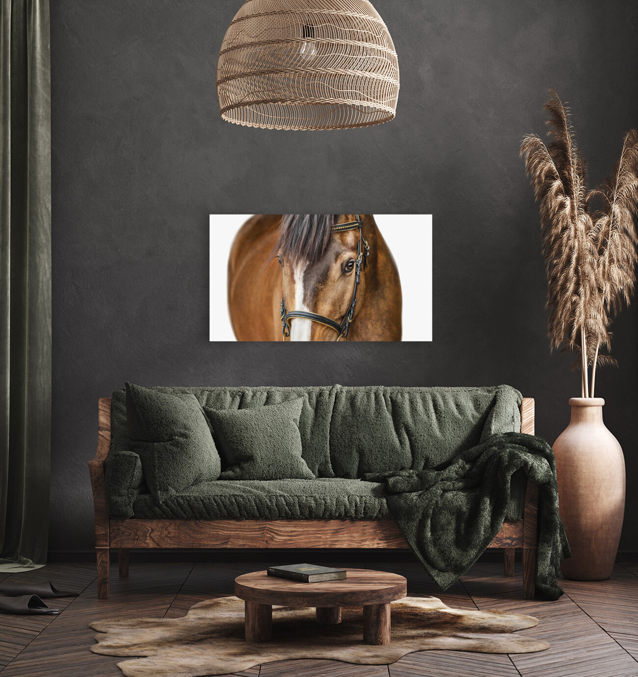 Horse Portrait White Background Reproduction