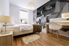 native ladies Mural print