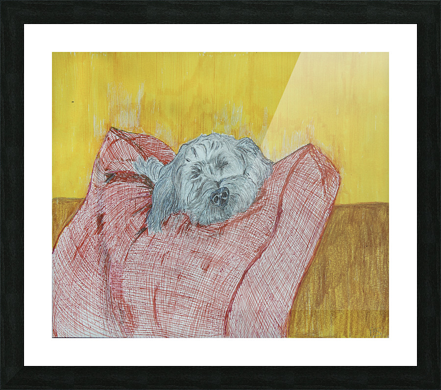 Canine Picture Frame print