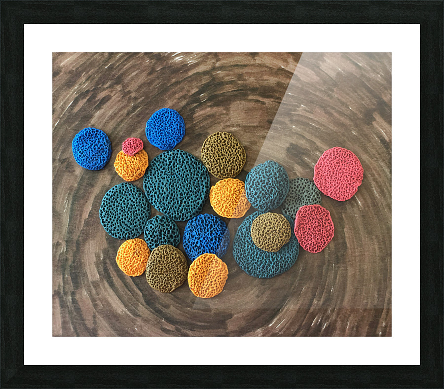 Corals Picture Frame print