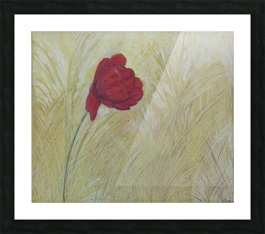 one red flower Picture Frame print