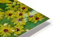 Sunflower HD Metal print