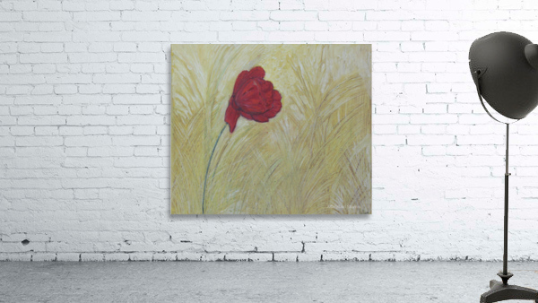one red flower Wall Preview