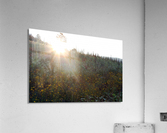 Misty Morning Acrylic Print