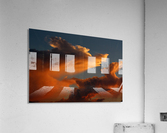 Coyote Skies Acrylic Print
