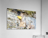 MINE! Acrylic Print