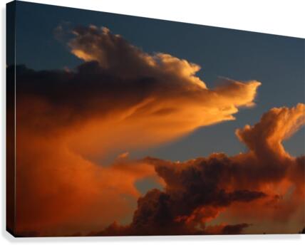 Coyote Skies Canvas Print