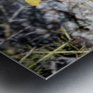 MINE! Metal print