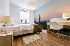Arizona Desert Mural print