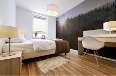 Misty Morning Mural print