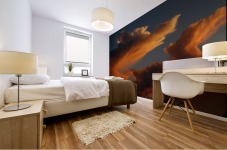 Coyote Skies Mural print