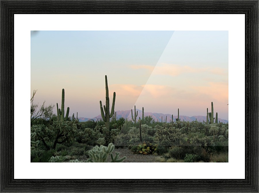 Arizona Desert Picture Frame print
