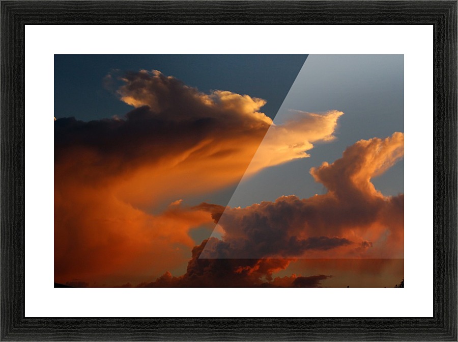 Coyote Skies Picture Frame print