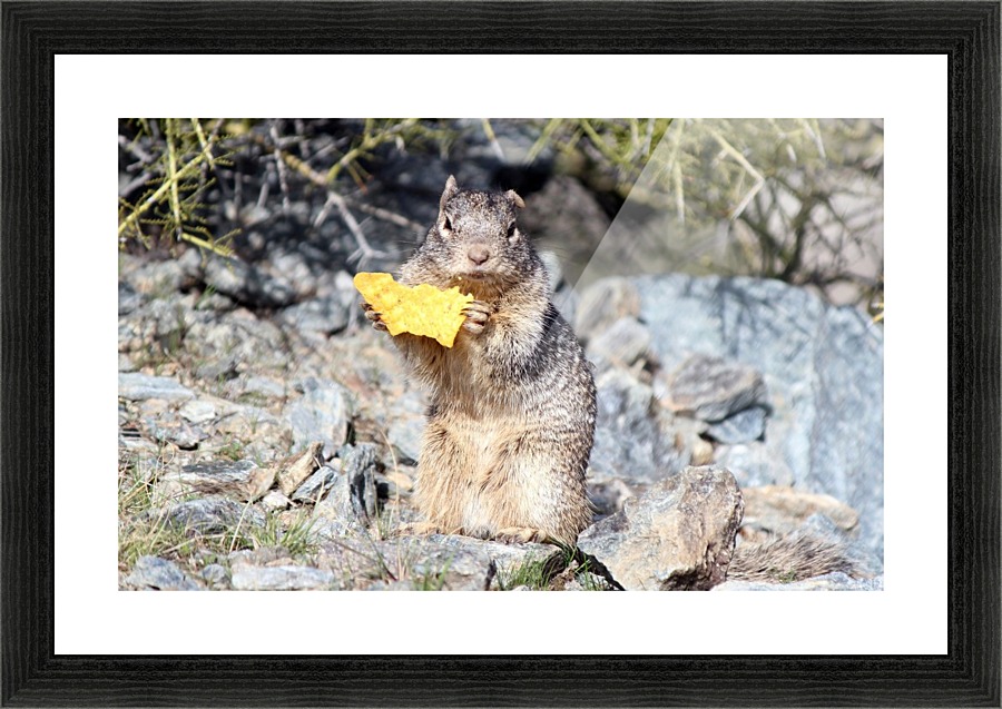 MINE! Picture Frame print