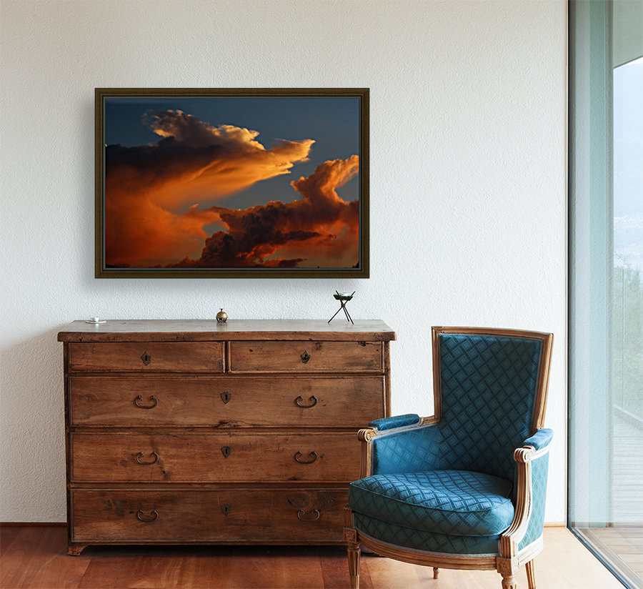 Coyote Skies Reproduction