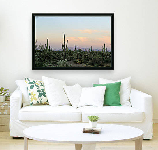Arizona Desert Reproduction