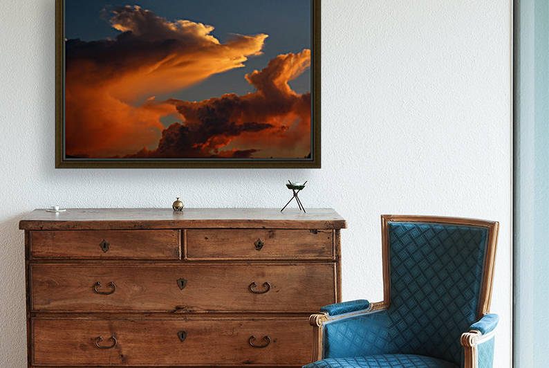 Coyote Skies Reproduction