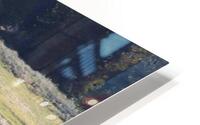 IMG 7910 HD Metal print