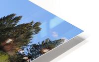 IMG 8618 HD Metal print