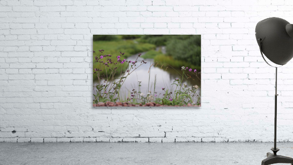 East Fork Wall Preview