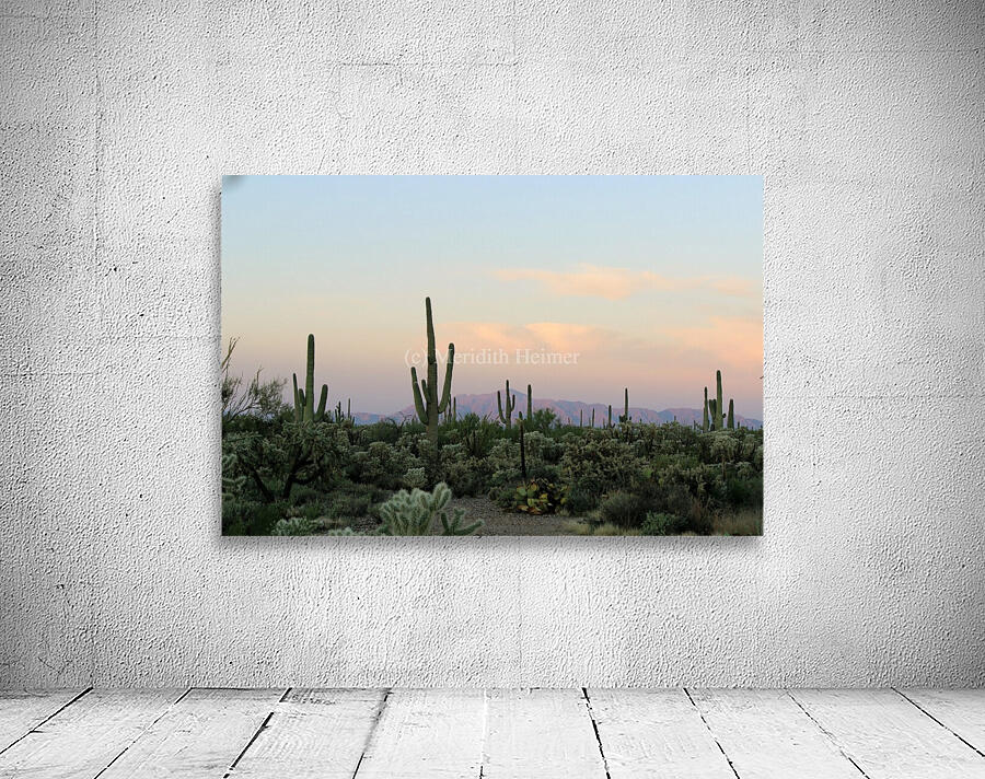 Arizona Desert Wall Preview