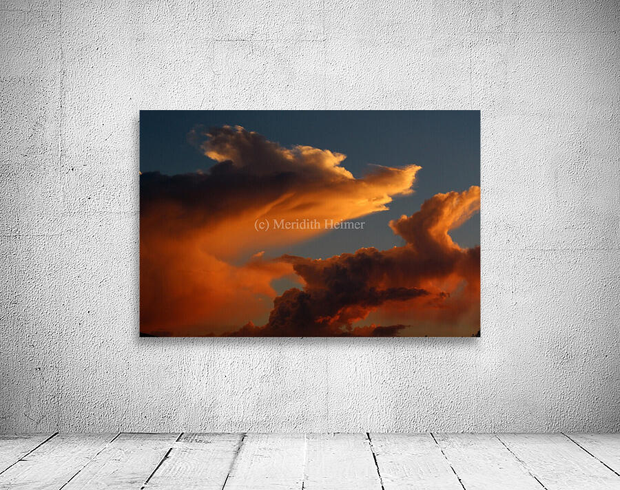 Coyote Skies Wall Preview