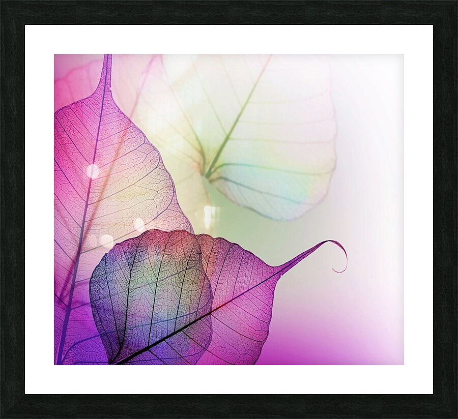 Leaf desenho  micro Picture Frame print