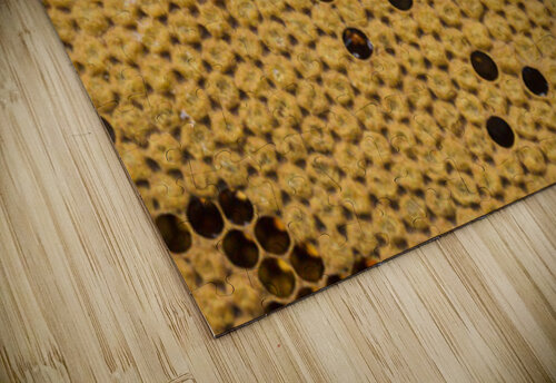 top view honeycomb Hannah99 puzzle