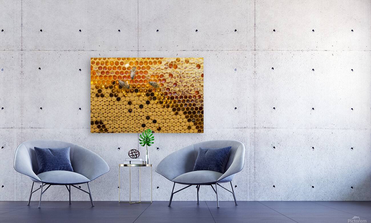 top view honeycomb Reproduction