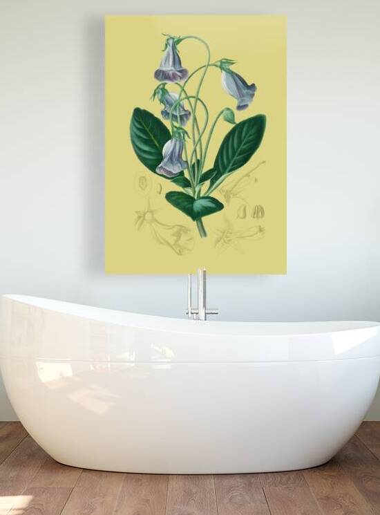 botanical plants green by Hannah99