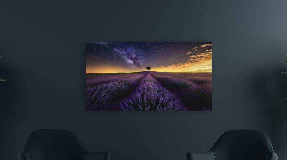 bed of purple petaled flowers photography landsca by Hannah99