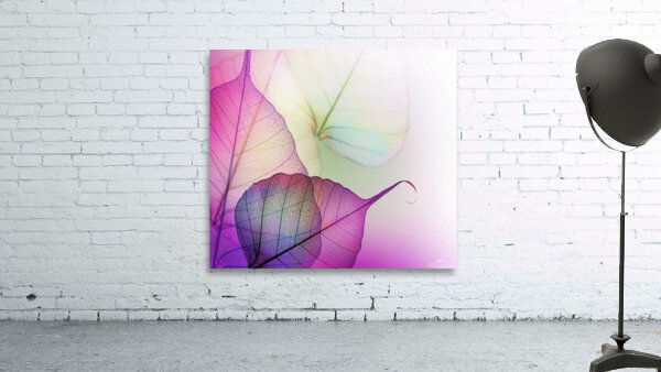 Leaf desenho  micro Wall Preview